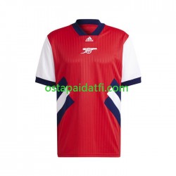 Arsenal Miehet Retro Kotipeli Jalkapallopaidat 2022-2023 Icon Lyhythihainen