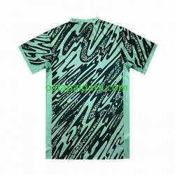 Brasilia Miehet Maalivahdin Kolmaspeli Vihreä Jalkapallopaidat Copa America 2024 Lyhythihainen