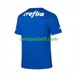 Palmeiras Miehet Maalivahdin Kotipeli Jalkapallopaidat 2023-2024 Lyhythihainen