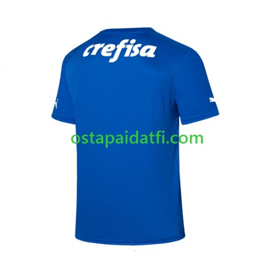 Palmeiras Miehet Maalivahdin Kotipeli Jalkapallopaidat 2023-2024 Lyhythihainen