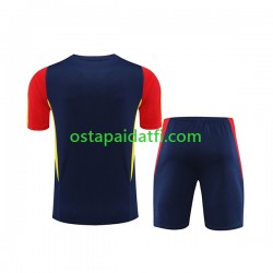 Espanja Sininen 2023-2024 Traning Jersey and Shorts